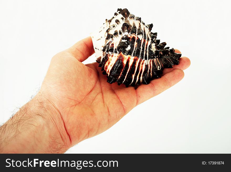 Holding clam with clipping path