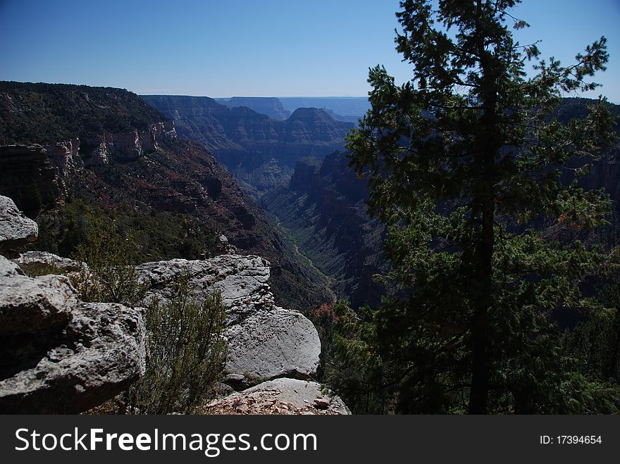 The landscape of Grand canyon in Arizona, USA. The landscape of Grand canyon in Arizona, USA