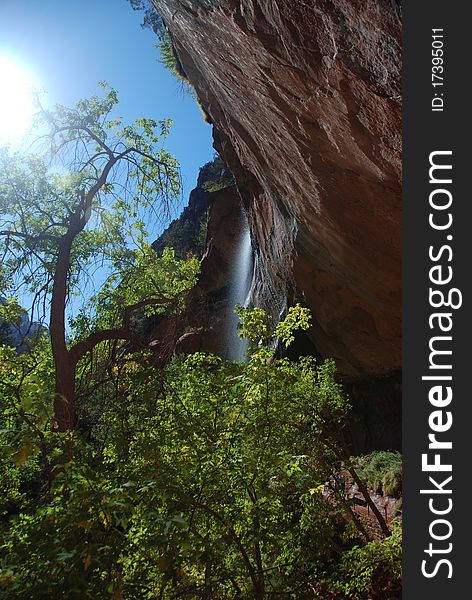 View of the rocks of Zion park in Utah. View of the rocks of Zion park in Utah