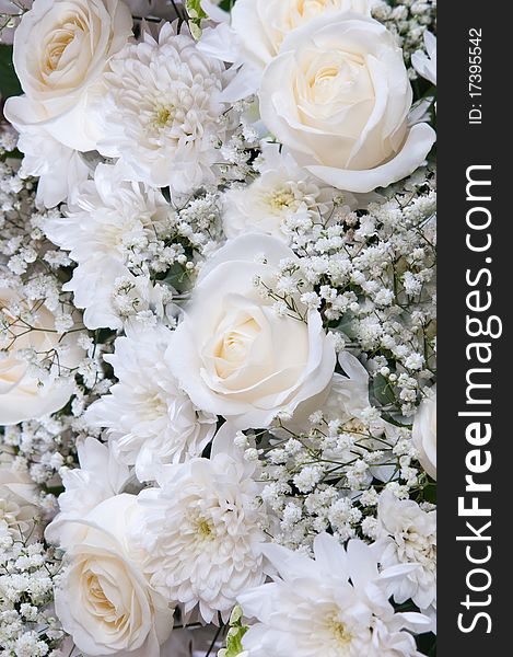 Beautiful decorative background from different white inflorescences. Beautiful decorative background from different white inflorescences.