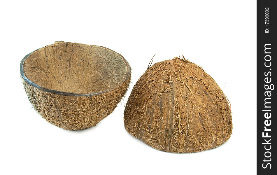 Coconut Broken Shell