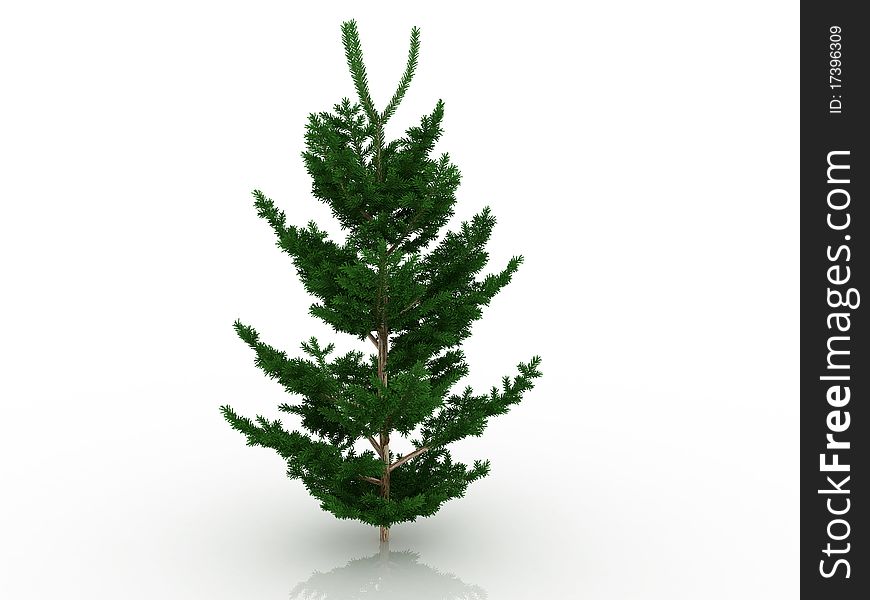 Big Christmas tree №1