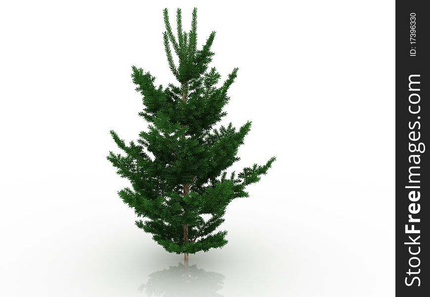 Big Christmas tree №3