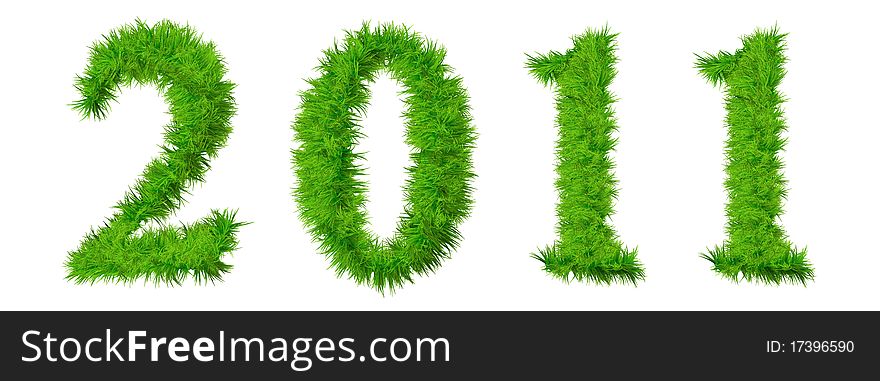 High resolution conceptual grass 2011 year