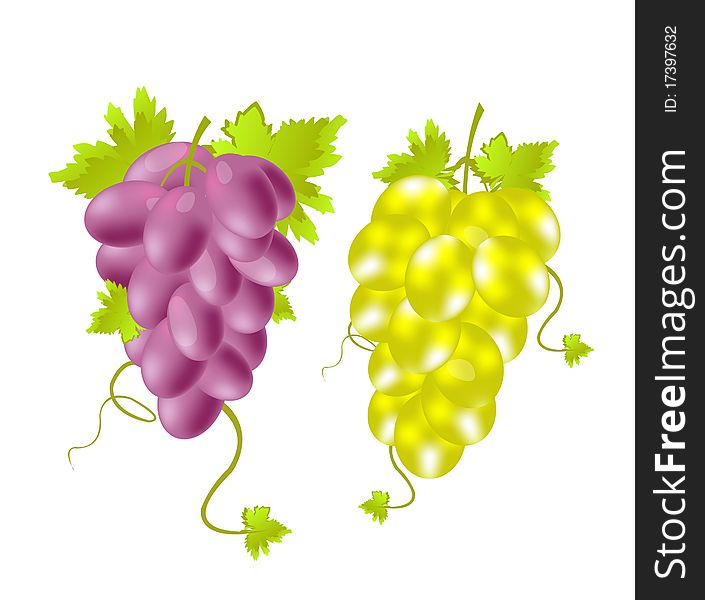 Two Tassels Of Grape