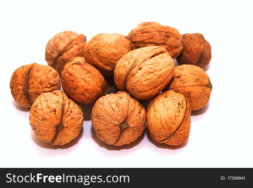 Photo of the walnuts on white background