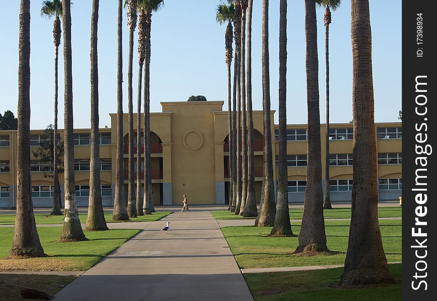 A shot of the Marine Depot's barracks where young men stay during boot camp. A shot of the Marine Depot's barracks where young men stay during boot camp.