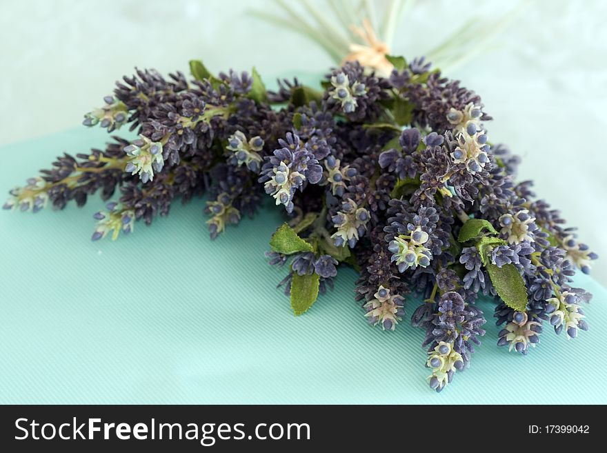 Still Life of bouquet of purple flowers on blue background. Still Life of bouquet of purple flowers on blue background