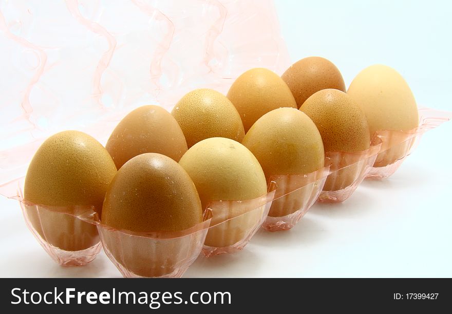 Ten eggs in an egg tray