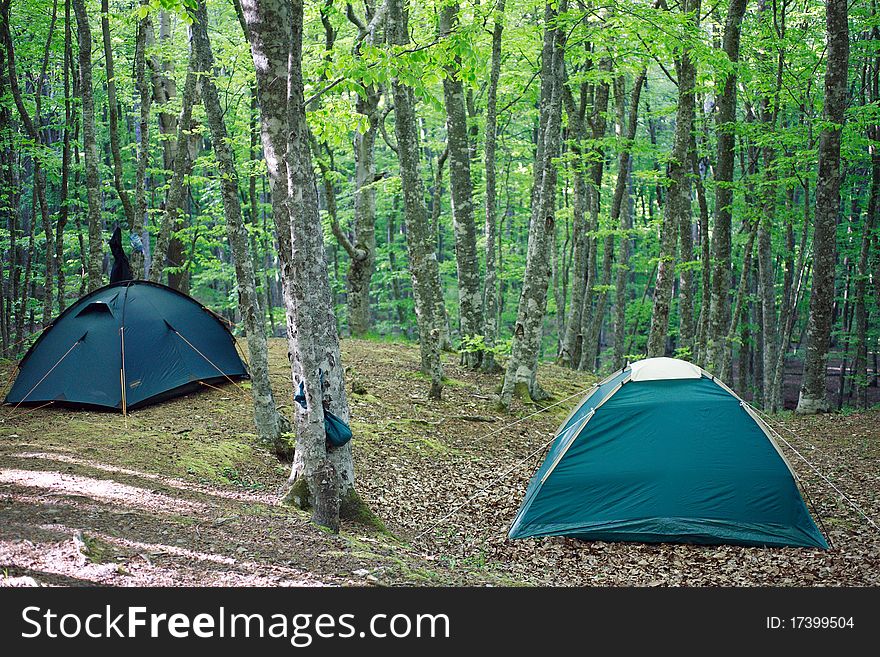 Two tiurist tent camp in forest. Two tiurist tent camp in forest