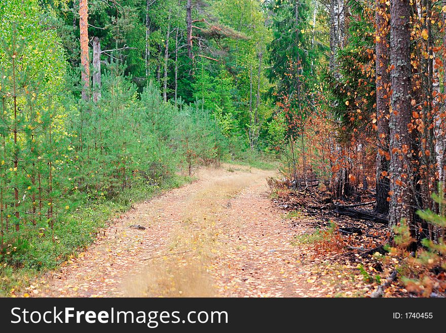 Scene of conflagration, the border. Scene of conflagration, the border