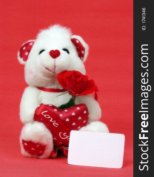 Teddy bear with red valentine heart on red background with blank card and little blur