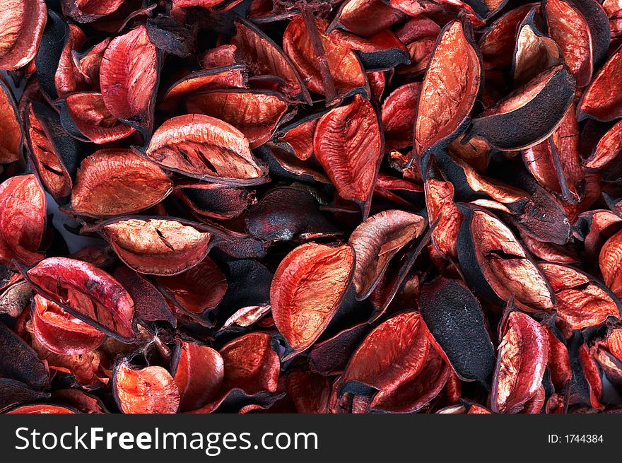 Autumn background with red leaves. Autumn background with red leaves