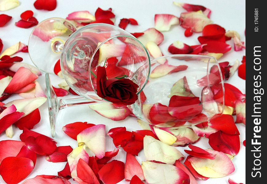 Two glass cup with red rose and petal background