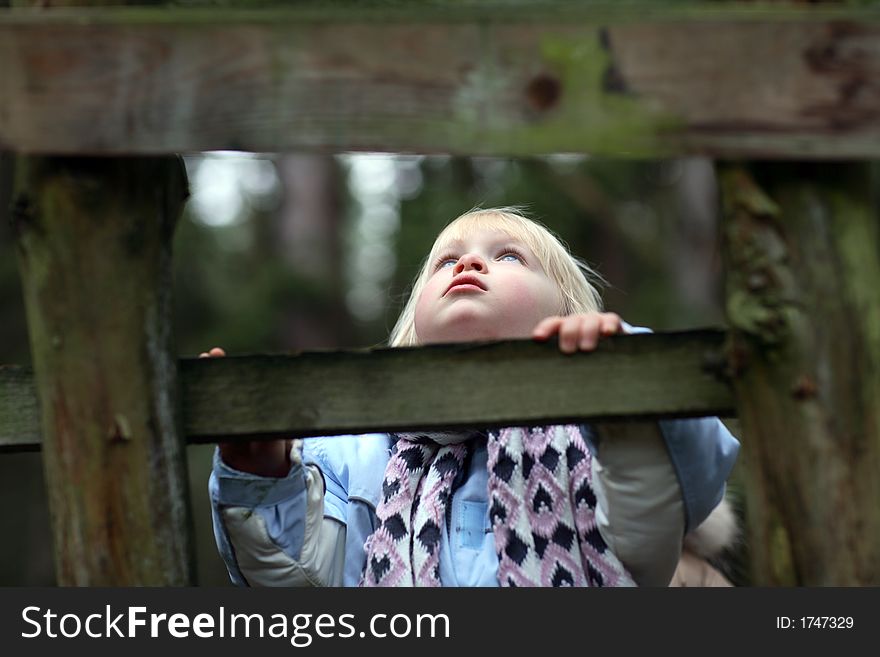 A little girl climbing a ladder. A little girl climbing a ladder