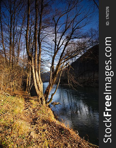 River on a sunny day and trees in the evening