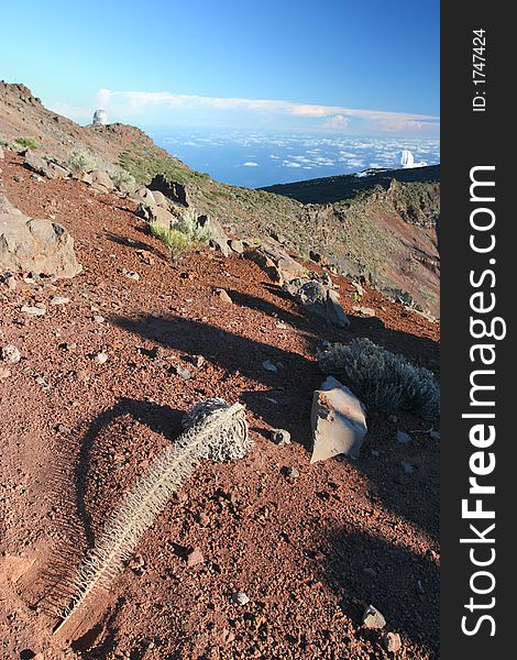 Canary, crater of volcano Caldera di Taburiente, Canaries La Palma. Canary, crater of volcano Caldera di Taburiente, Canaries La Palma