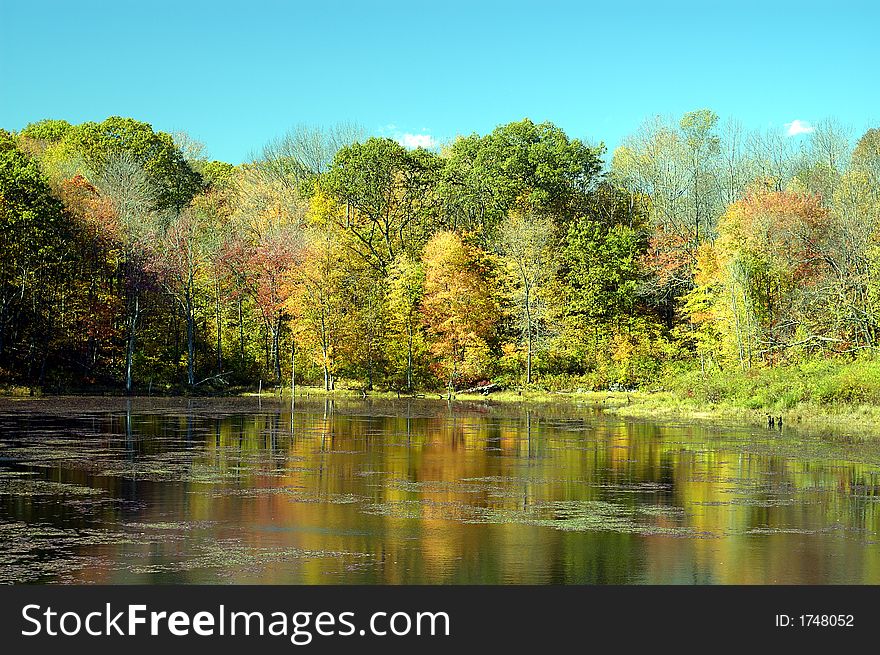 A Beautiful fall reflection on a sunny autumn day