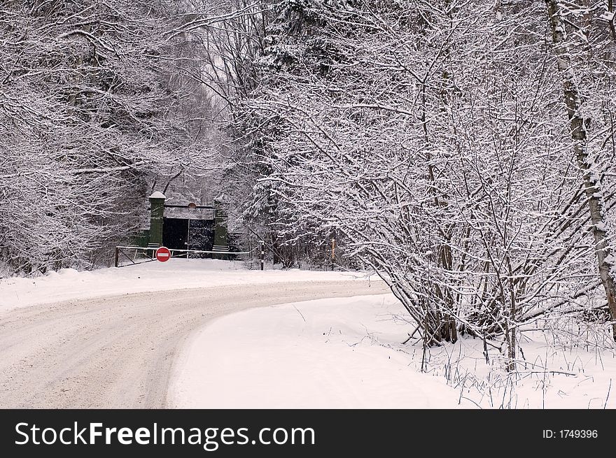 Nature, Moscow region, forest, winter road. Nature, Moscow region, forest, winter road