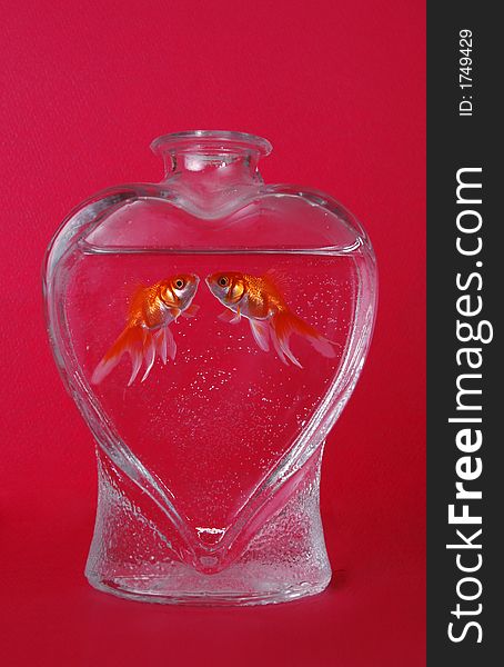 Two goldfish face one another in a heart-shaped vase filled with water. The background is red. Two goldfish face one another in a heart-shaped vase filled with water. The background is red.