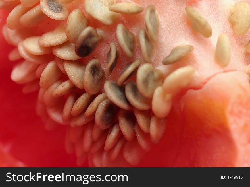 Macro of red pepper seeds