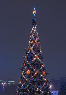 Christmas Tree Stock Photography Christmas Tree Stock Photography