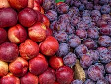 Plums And Nectarines Fruit Royalty Free Stock Image Plums And Nectarines Fruit Royalty Free Stock Image