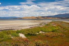 Beach In Tasmania Royalty Free Stock Photo Beach In Tasmania Royalty Free Stock Photo