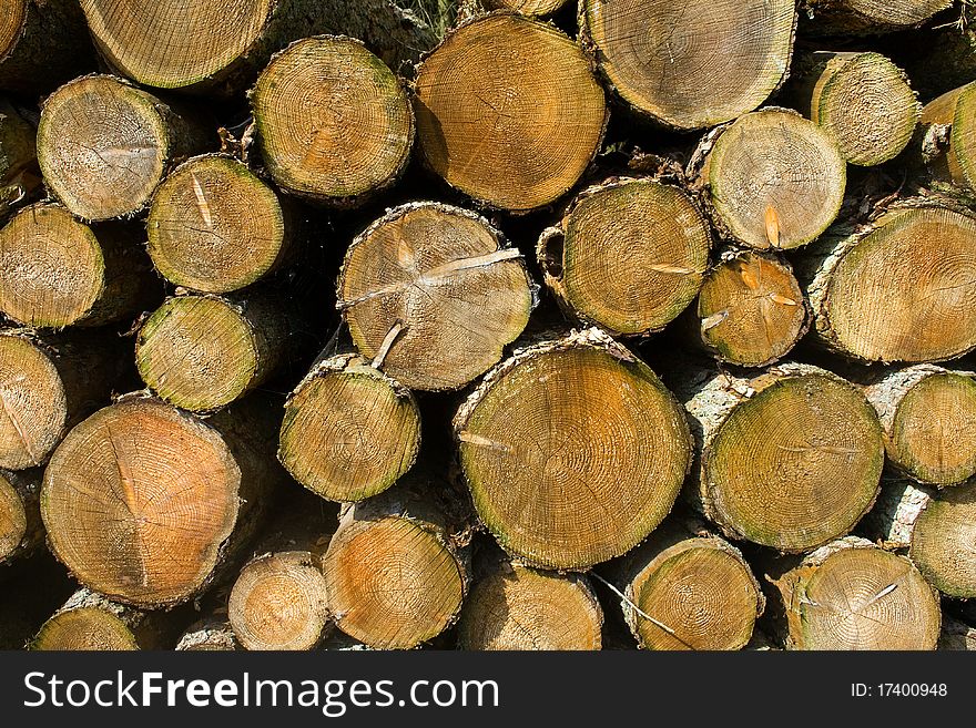 Logs stacked up ready to be burnt