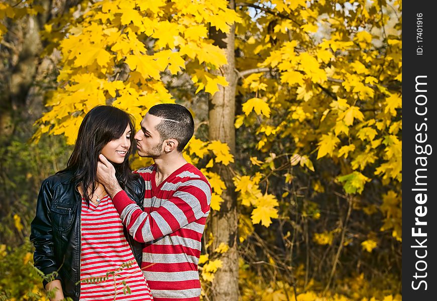 Couple of young lovers are walking in the autumn park. Couple of young lovers are walking in the autumn park