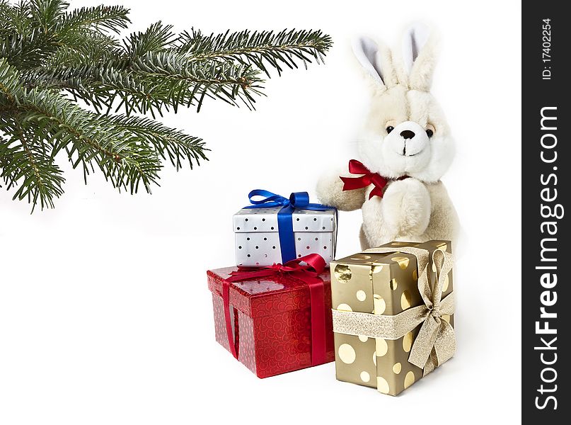 Gift boxes with rabbit