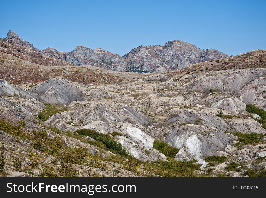 Blast zone of Mt. Saint Helens