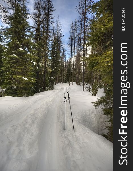 Pair of ski poles beside a cross country ski trail. Pair of ski poles beside a cross country ski trail