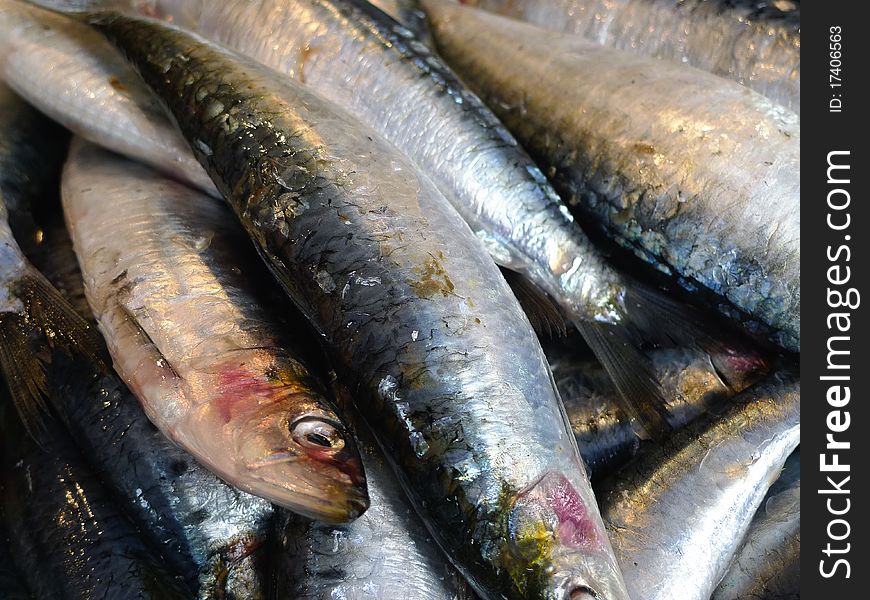 Fresh fish at an outdoor Paris market. Fresh fish at an outdoor Paris market