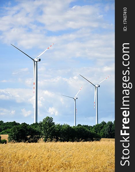 An image of wheat field and wind turbines