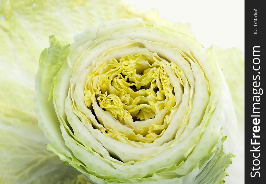 Cut the cabbage in a white background. Cut the cabbage in a white background
