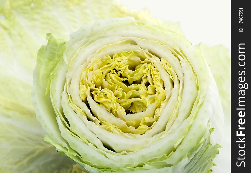 Chinese Cabbage