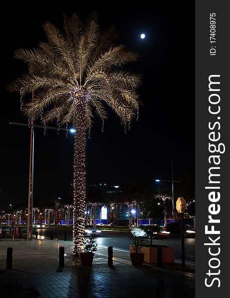 Night illumination of Dubai. UAE.