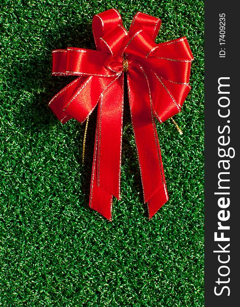 Red Bow on green grass background