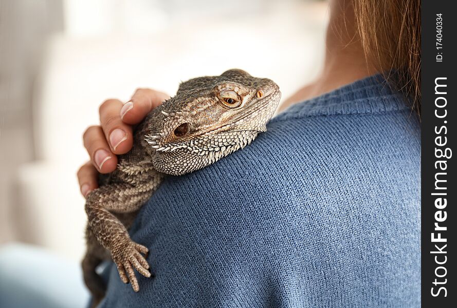 Young woman with bearded lizard at home, closeup. Exotic pet. Young woman with bearded lizard at home, closeup. Exotic pet