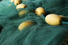 Net Royalty Free Stock Images Net Royalty Free Stock Images