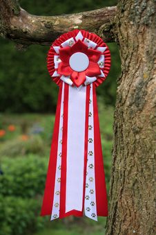 Red Ribbon With Paw Print Royalty Free Stock Images