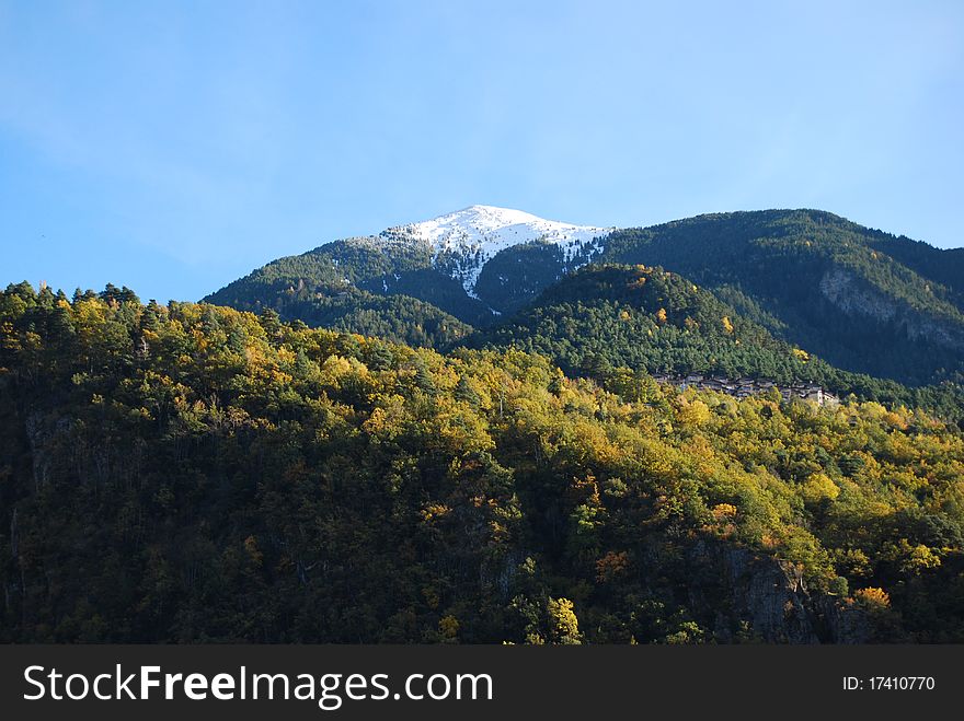 A forest in the middle of autumn and a beautiful mountain with snowy peak behind. A forest in the middle of autumn and a beautiful mountain with snowy peak behind
