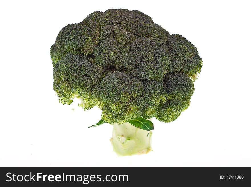 Broccoli on white background isolated