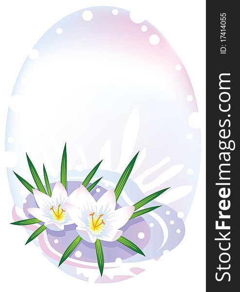 Bright oval frame with crocuses and snow. Vector illustration.