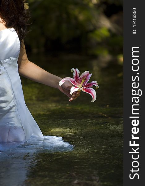 Young woman in white dress walking through river with flower. Young woman in white dress walking through river with flower.