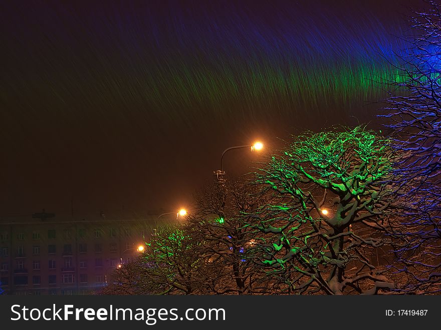 Snow-covered trees with color illumination at night in winter. Snow-covered trees with color illumination at night in winter