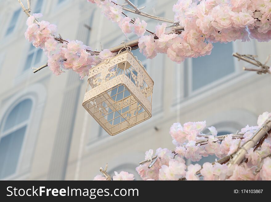 White decoraretive bird cage hanging on branch of blooming apple tree on building background. Spring city decoration.