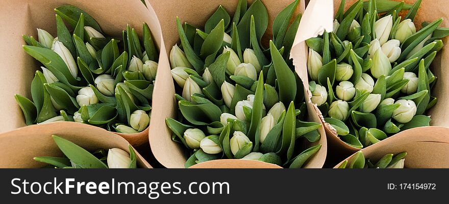 Beautiful bouquets of white tulips in craft paper, spring flowers of floriculture. Selective focus.