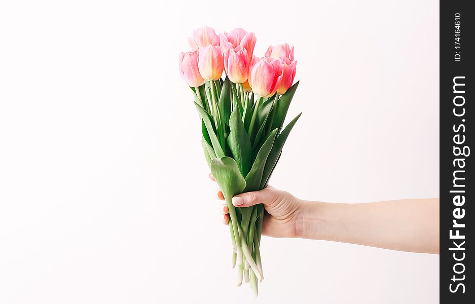 Woman Hand With Manicure Holding Tulips Flowers On White Wall Background